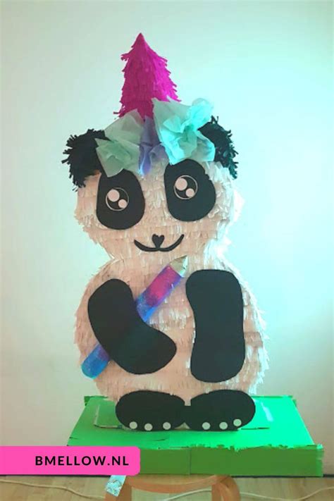 Pandacorn Sinterklaas Surprise