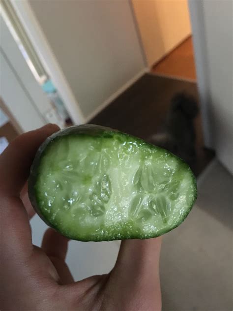 i found a double cucumber r mildlyinteresting