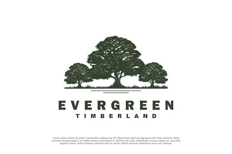 Evergreen Tree Logo