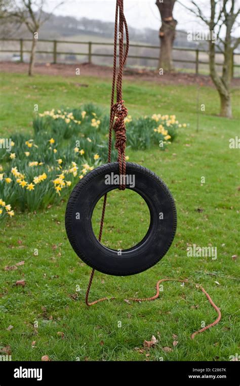A Tyre Swing Tire Swing Set Up For Play And Idyllic Childhood Fun In