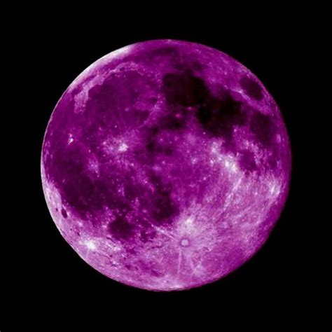 Stream Purple Moon Music Listen To Songs Albums Playlists For Free