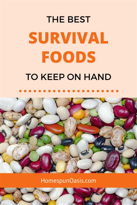 The Best Survival Foods To Keep On Hand For Emergencies Prepper Food