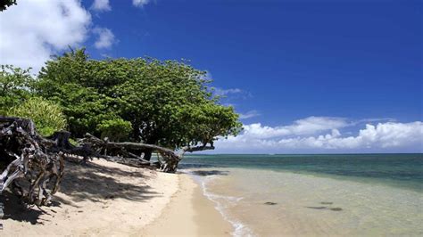Kauai Vacation Rentals Anini Beach Kilauea Collection