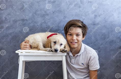 Teen Boy With Golden Retriever Stock Photo Image Of Wall Companion