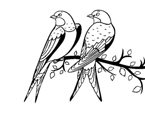 Dibujo De Pareja De Pájaros Para Colorear