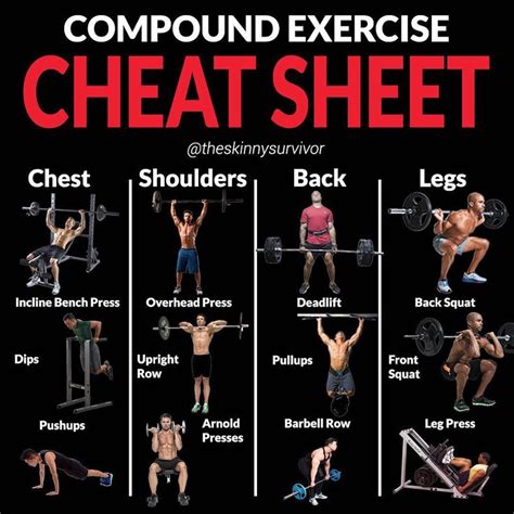 Compound Exercise Cheat Sheet A Compound Exercise Is A Multi Joint