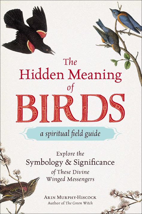 The Hidden Meaning of Birds--A Spiritual Field Guide | Book by Arin