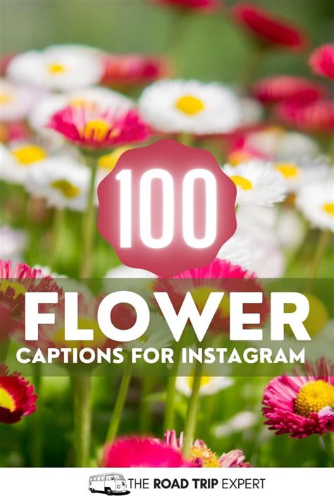 100 Amazing Flower Captions For Instagram With Quotes