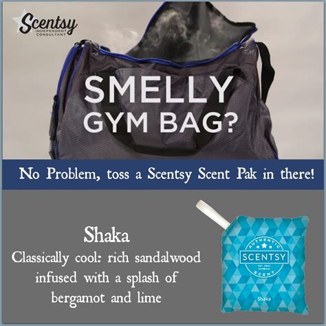 Clear Out The Stink With A Scentsy Scent Pak Trishmorton