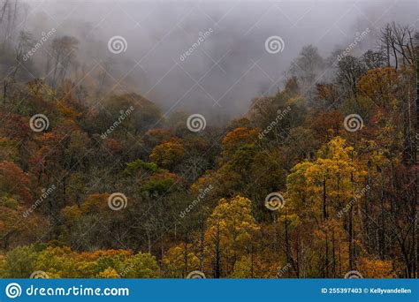Thick Fog Rolls Into Valley In The North Carolina Mountains Stock Image