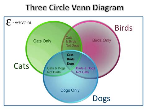 Three Circle Venn Diagrams