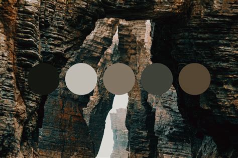 Get Color Palette Inspiration From Nature