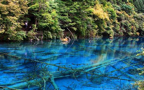 The Five Flower Lake In China The Most Beautiful Lakes In The World