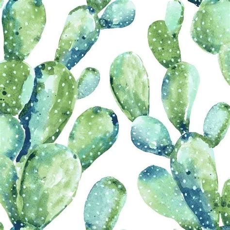 Prickly Pear Blue Cactus Wallpaper Peel And Stick Wallpaper Prickly