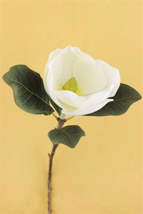 We classify our silk flowers as either a flower spray, flower stem, flower bush or a bridal bouquet. Silk Flowers / Artificial Flowers | Magnolia flower ...