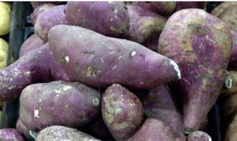 Purple Skin Sweet Potato Wwhite Flesh 15 Cuttings Wdelivery Tracking