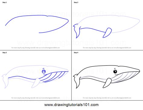 Https://tommynaija.com/draw/how To Draw A Blue Whale Cartoon