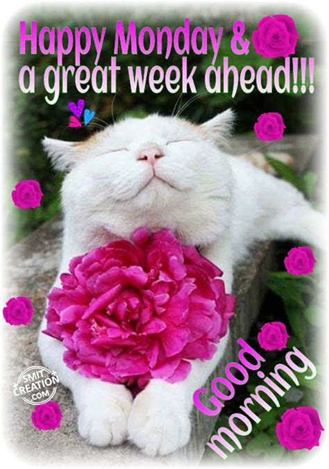 Make this week count regardless. Happy Monday & A Great Week Ahead !!! - SmitCreation.com