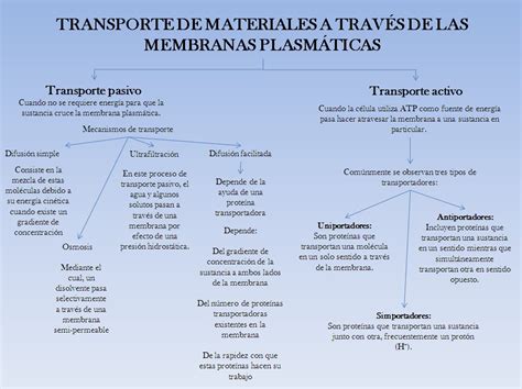 Fisiologia Humana TRANSPORTE A TRAVES DE MEMBRANA