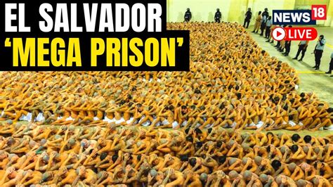 First 2000 Inmates Moved To El Salvadors New Mega Prison Us News