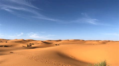 Desert Zoom Backgrounds Images Free Hot Virtual Meeting Background