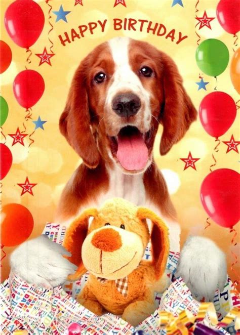 Uk Dog Birthday Card Happy