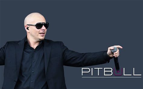 The Journey Of Miami Street Rapper Pitbull To Global Success Daily
