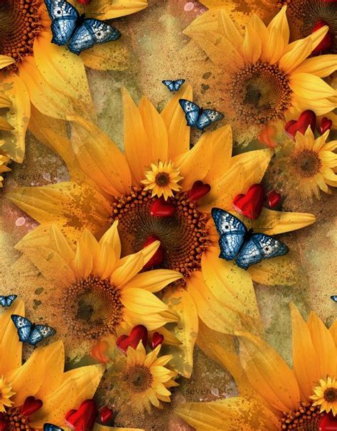 Pin By Teresa Valdez On Bewitched By Butterflies Sunflower Wallpaper