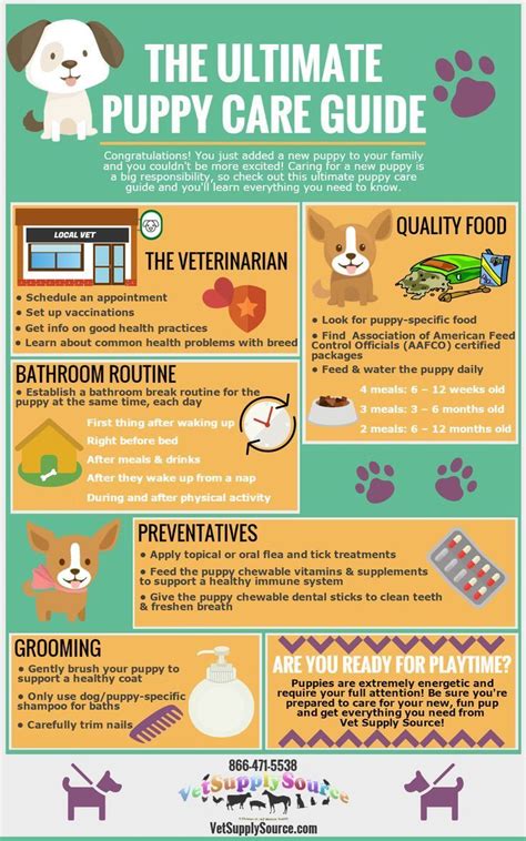 Pin On Dog Care Guide