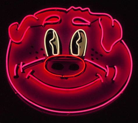 Neon Pig Photograph By Timothy Smith Fine Art America