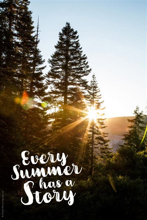 101 Of The Best Summer Quotes To Spark Summer Wanderlust