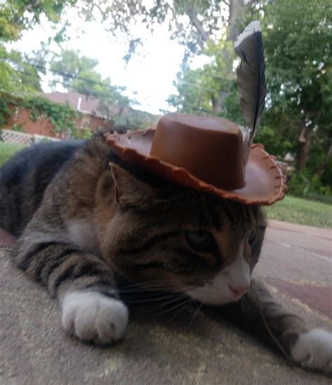 Cowboy Cat Rcatsinhats