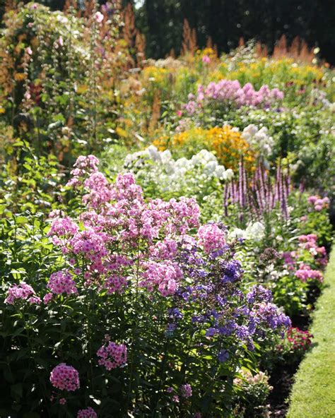 Midsummer Maintenance Tips For Perennial Gardens