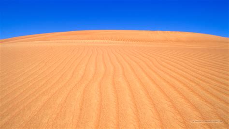 Wallpaper Gratuit Dune Désert Arabe Fond Décran Dune De Sable