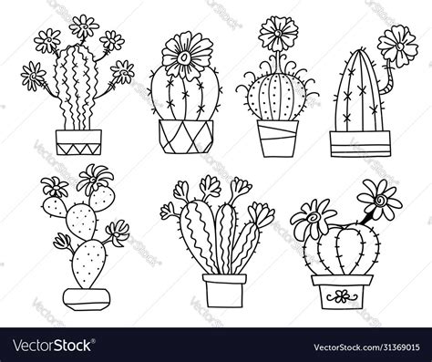 Cactuses Hand Drawn Outline Cactus With Flowers Vector Image