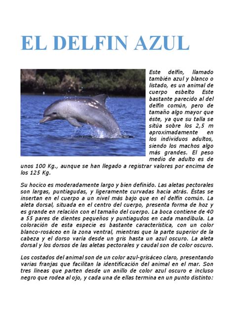 El Delfin Azulpdf Cetáceos Naturaleza