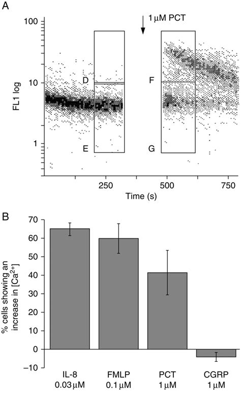 Comparison Of The Effect Of Various Agents On Intracellular Calcium