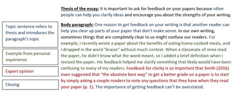 020 Research Paper Example Introduction Paragraph For Body Paragraphs