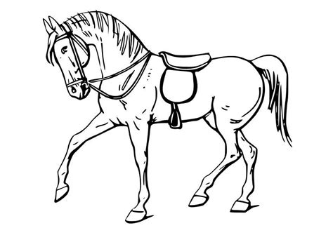 Bekijk hier dan onze hele verzameling kleurplaten paarden, print ze snel uit en geef. Kleurplaat paard - Afb 10347.