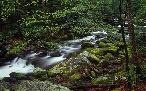 Roaring Fork In Great Smoky Mountains National Park Tennessee Bing