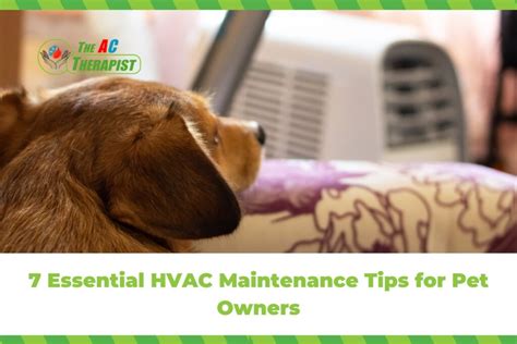 7 Essential Hvac Maintenance Tips For Pet Owners Boost Your Air
