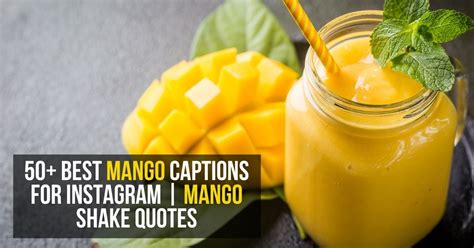 Best Mango Captions For Instagram Mango Shake Quotes Statusbuzz