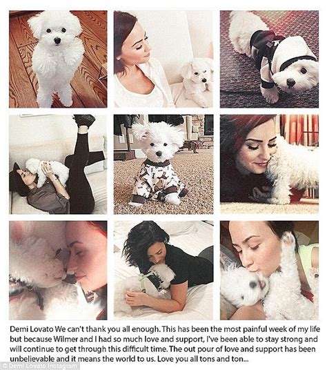 Demi Lovato Unveils New Dog On Social Media After Losing Dog Buddy In