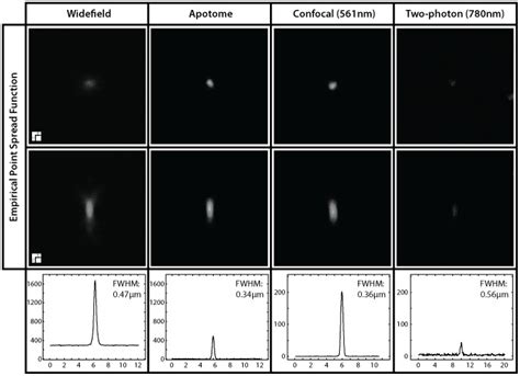 Empirical Point Spread Functions Of ∼0175 µm Beads Using Widefield