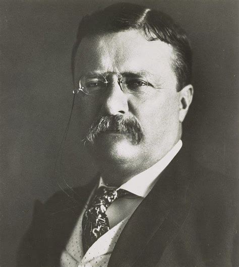 The rise of theodore roosevelt. Pin on Writing and Editing