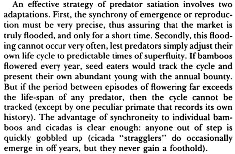 The 17 Year Itch Why Cicadas Love Prime Numbers The Atlantic