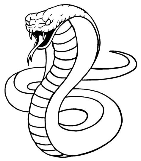 Desenhos Da Cobra Naja Para Colorir Bora Colorir