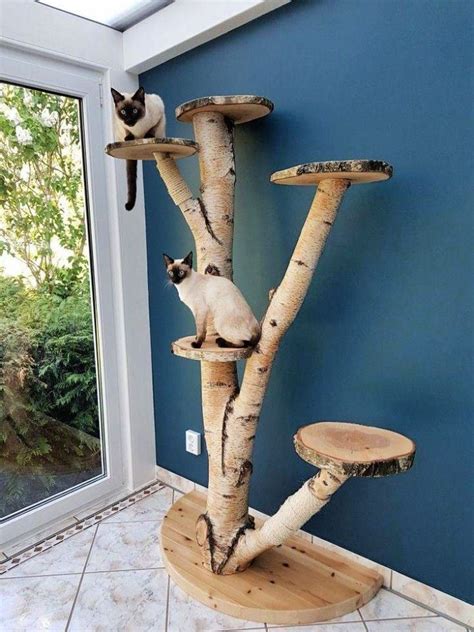 15 Best Outdoor Cat Tree Ideas And Plans Custom Cat Trees Diy Cat