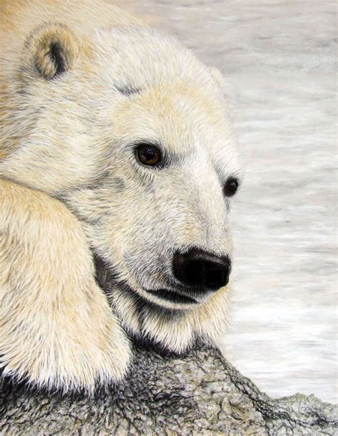 Polar Bear By Phil Daniels In 2021 Bear Paintings Polar Bear Art