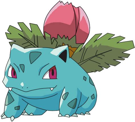 Ivysaur Pokémon Bulbapedia Png See Through Background